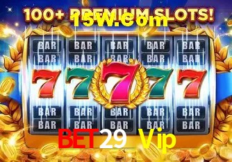 VIP Bronze Benefits